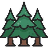 pine-tree